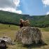 Montagna Noa